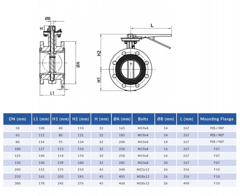 Concentric Flanged Type LYE